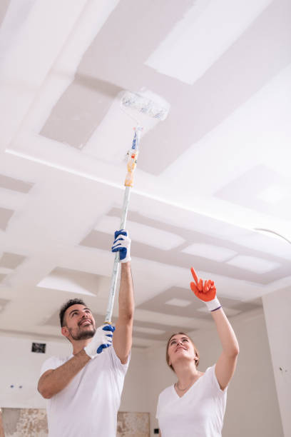 Best Mold Prevention Services  in Bellefonte, PA