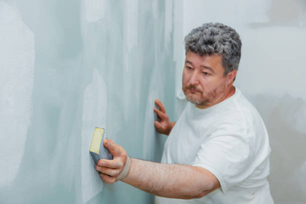 Best Asbestos and Lead Testing During Mold Inspection  in Bellefonte, PA